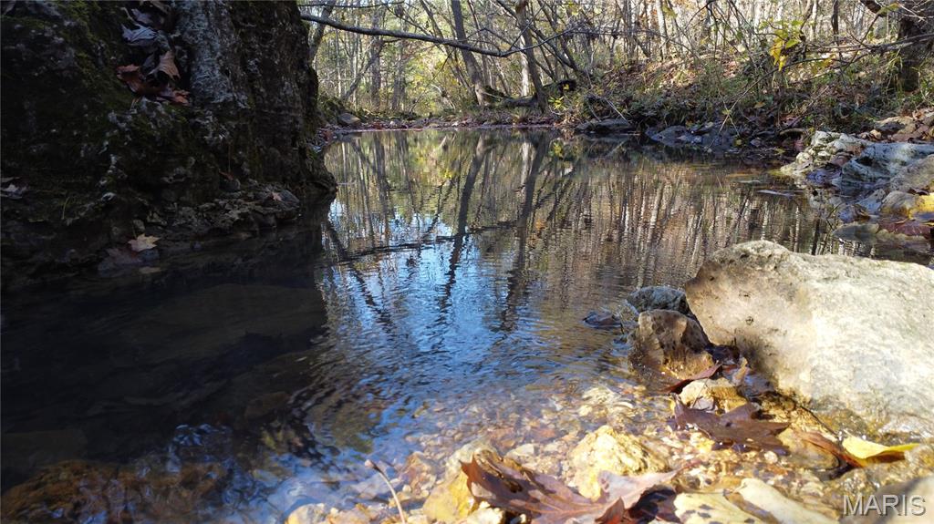 10256 Christina Trail