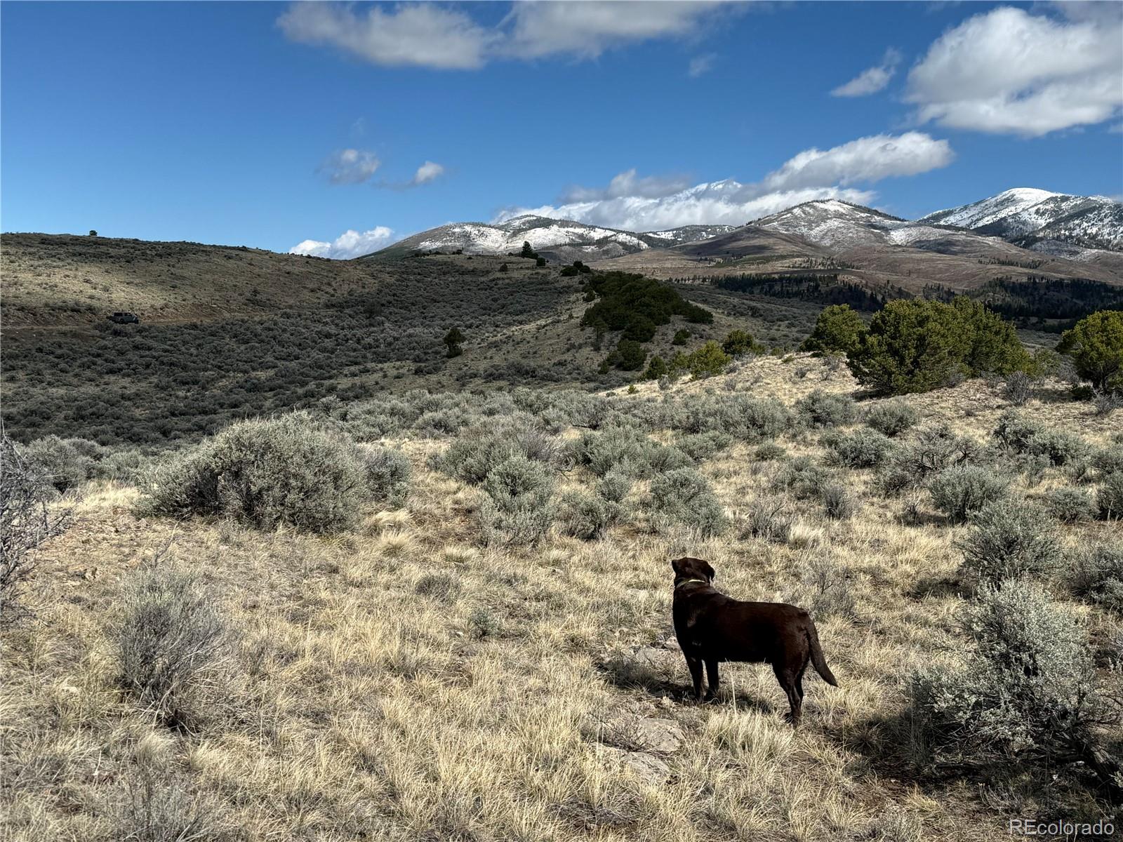 Lot 117 Lautenburg Drive