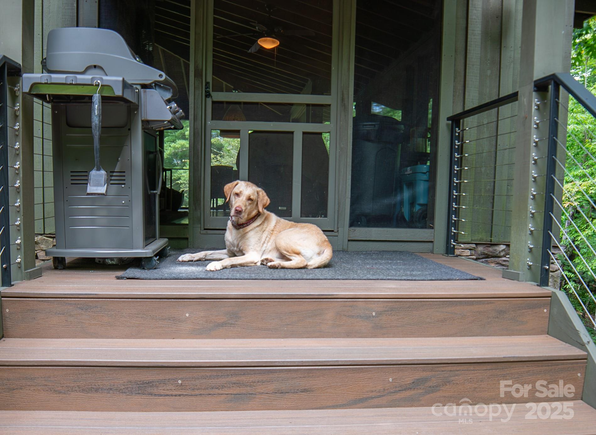 163 Cabin Bluff Drive 4