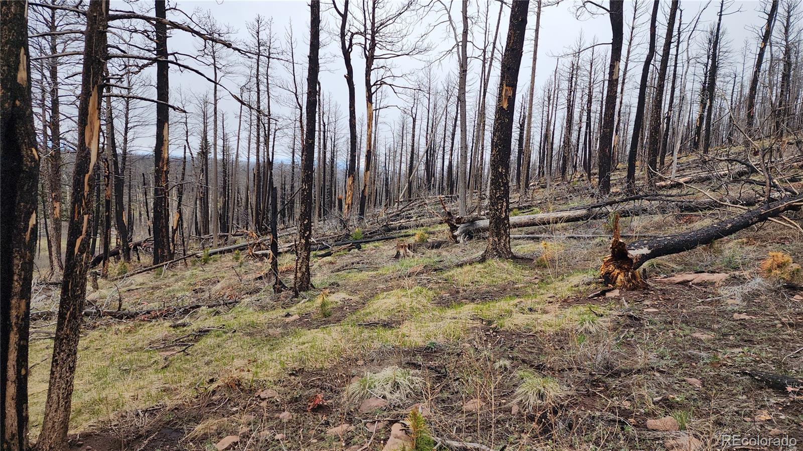 Lot 1735 Mara Loop