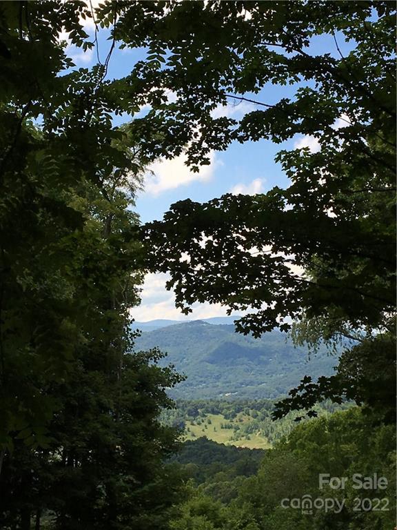 These 2 top of the ridge homesites are being offered together for one price. The elevation will afford beyond spectacular views plus end of road privacy and a tranquil setting. Park at the curve in the road where you can also turn around, walk past lot 321 past fallen tree to this parcel. During the summer, you can catch glimpses of view potential through the tree canopy. A driveway could come in at the end of the curve. Build on a full basement and you could have on grade access at both levels of the house. Lots with these kinds of views are no longer being created, get one while you can! This homesite is only 20 min for charming downtown Waynesville with it's lovely shops, galleries, restaurants, live theatre and festivals. The city of Asheville is about 45 min easy drive.
Owner will consider financing!