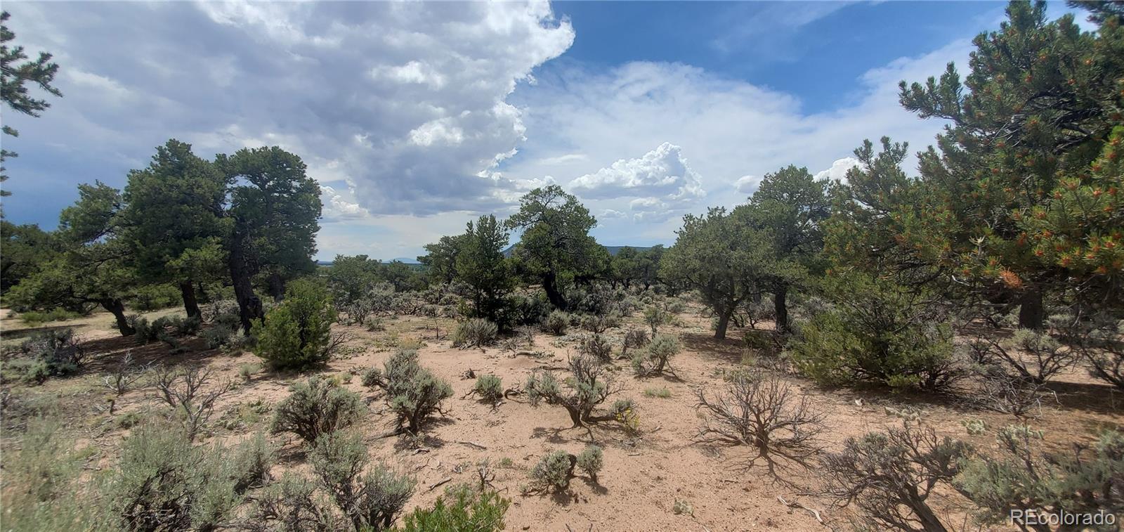 Lot3696 Branch Road