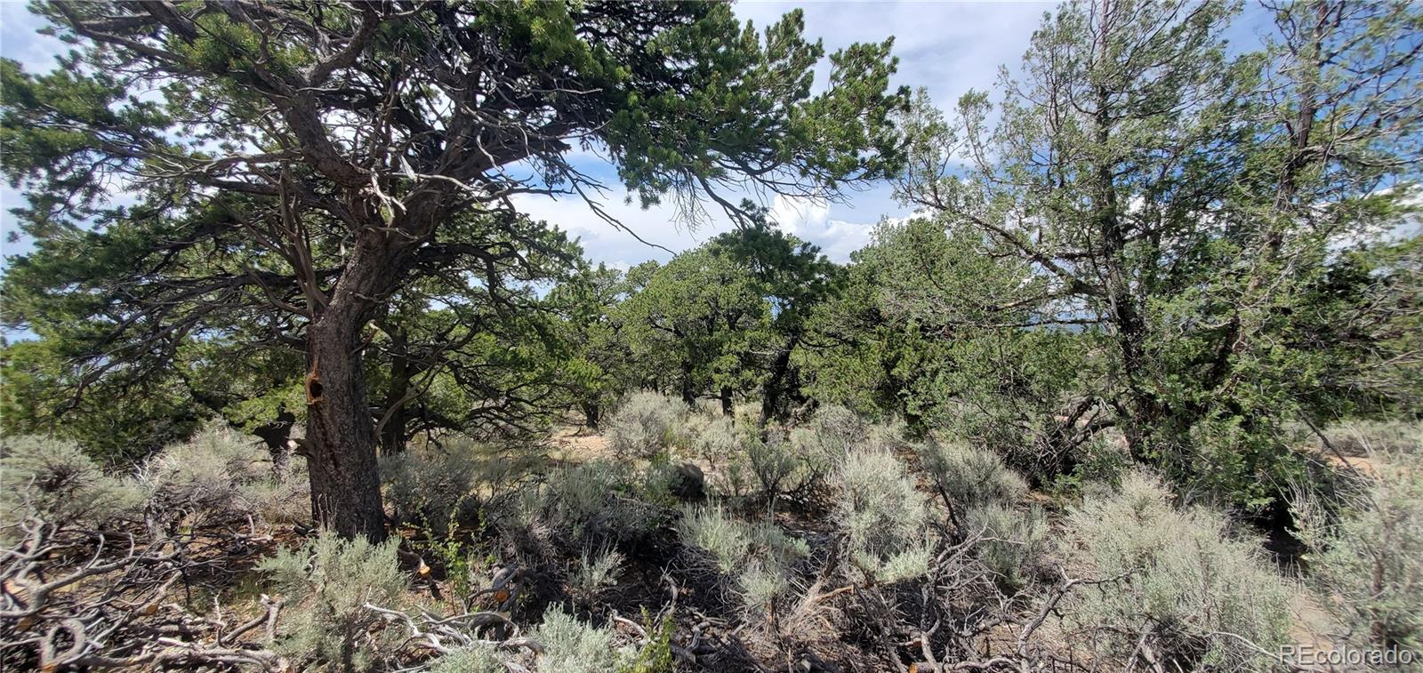 Lot 2345 Sandoval Road