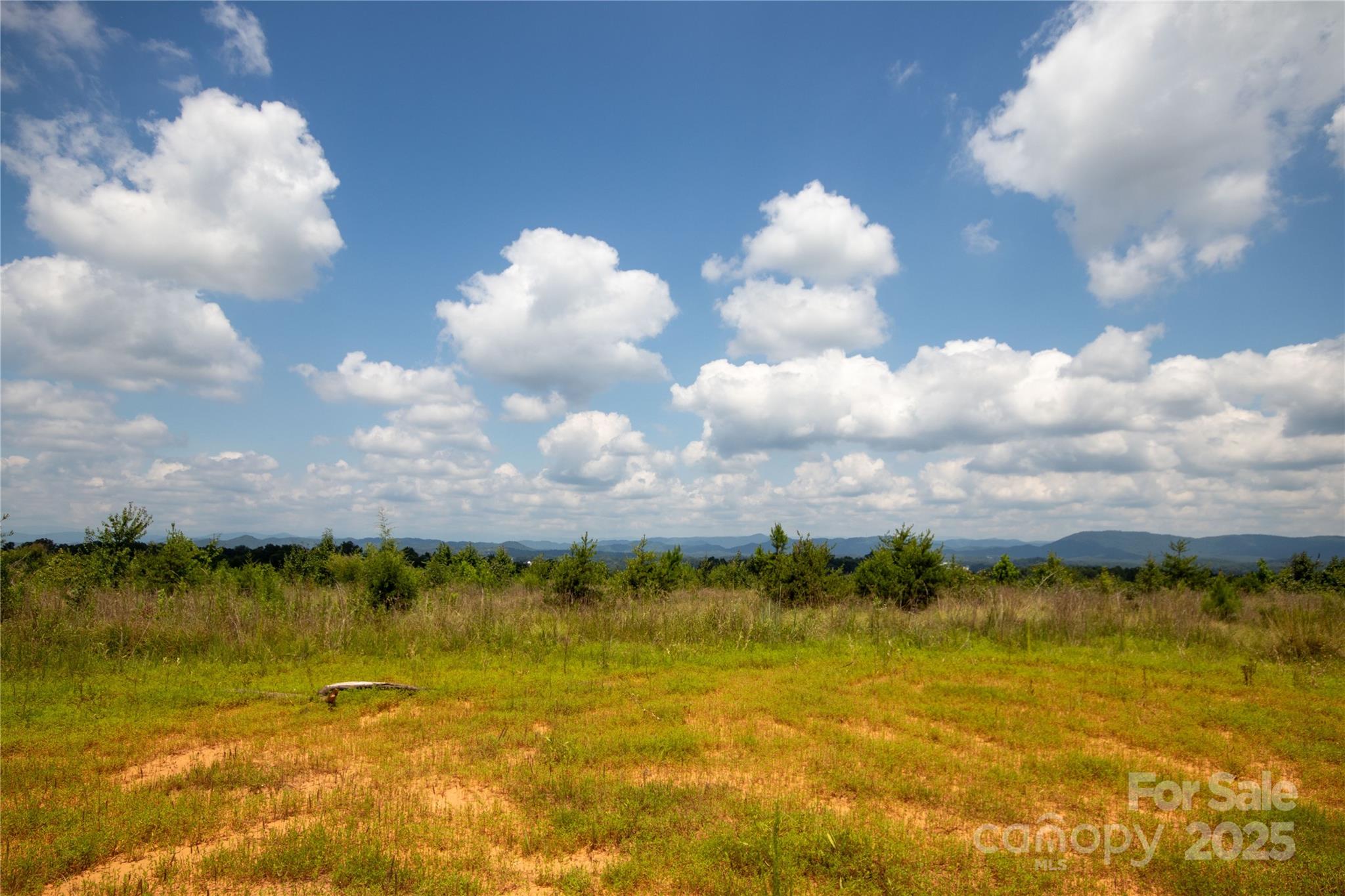 12.83 ACRES ON US HWY 321 W/EXCEPTIONAL YEAR ROUND LONG RANGE VIEWS FROM TABLE ROCK TO GRANDFATHER! Property consists of two parcels: 12.79 acres zoned B-2 & 1.04 acres zoned R-12 with city water and sewer along US Hwy 321.  Topography is level to sloping and would make an extraordinary site for townhomes/condos and/or mixed use development with amazing views of Western North Carolina! Local Planning Dept is open to zoning changes as mixed retail and residential would be a reasonable and encouraged use for this property. 2023 NCDOT traffic counts show 20,000 - 34,999 vehicles per day. Utility Easement on right side of property.