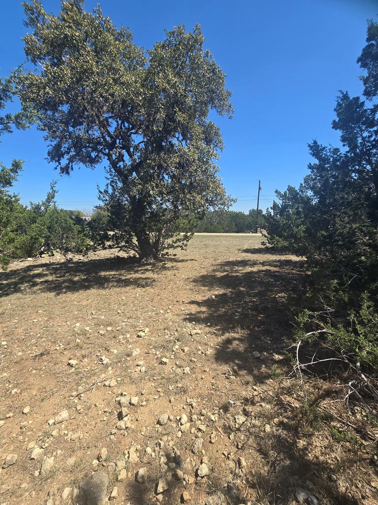 lot 8 Pr 1514