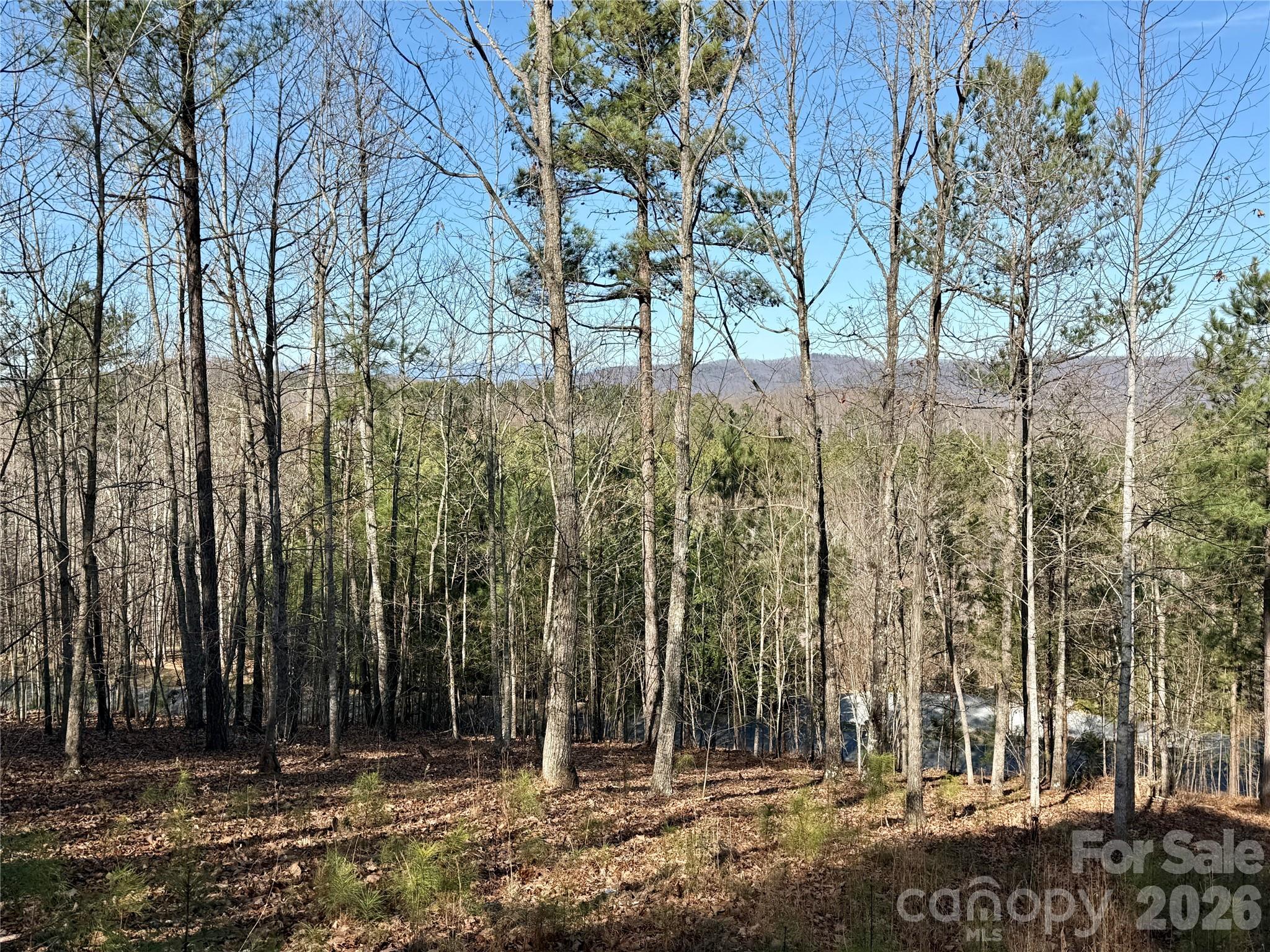 338 Grandview Peaks Drive 36