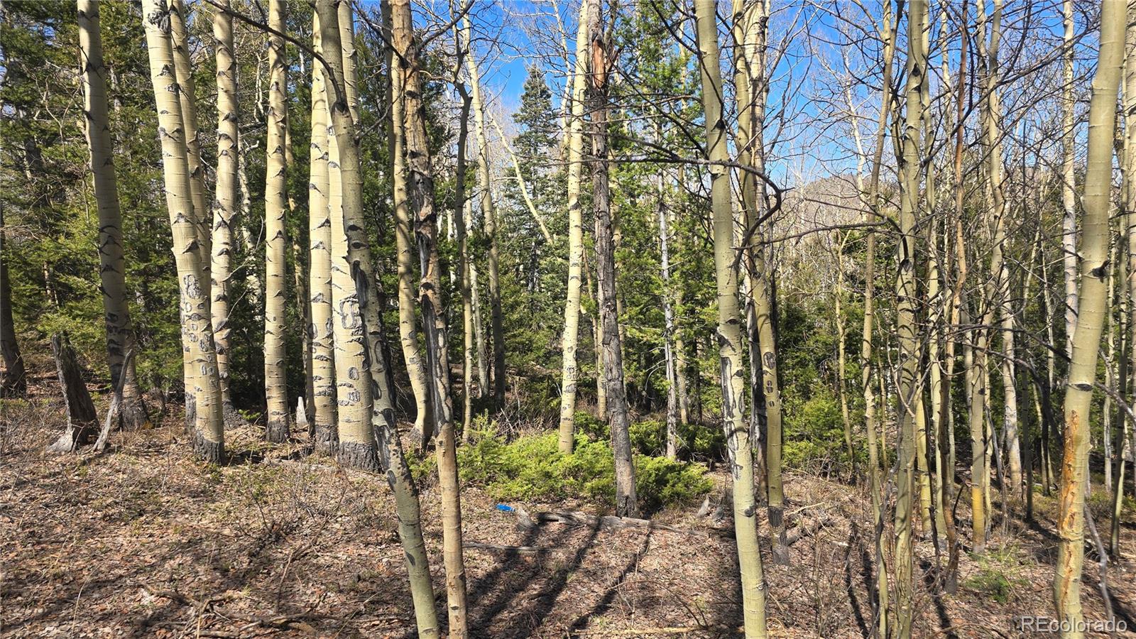Lot 6708 Debbie Road