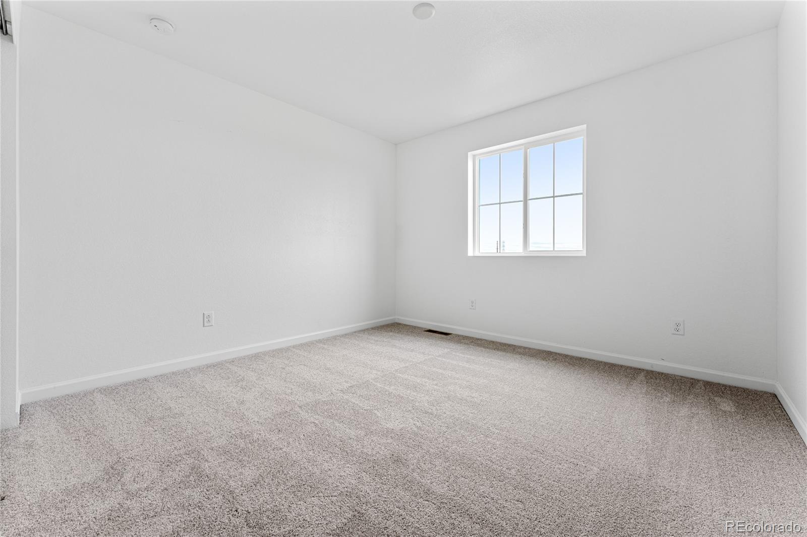 8944 Whiteclover Street