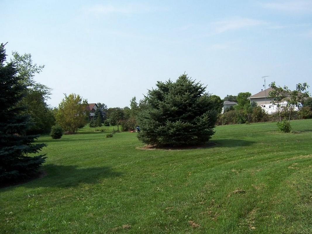 2992 Cottonwood Place Lot #5