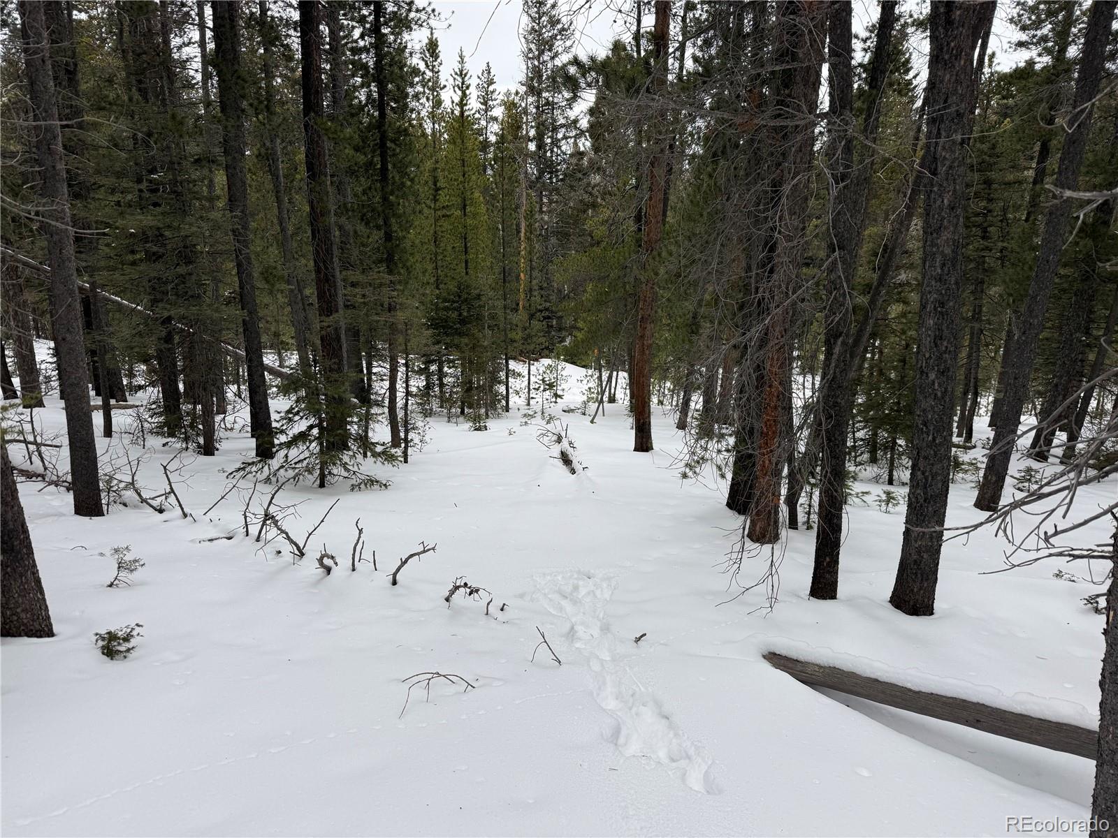 Lot 2806 Moir Drive