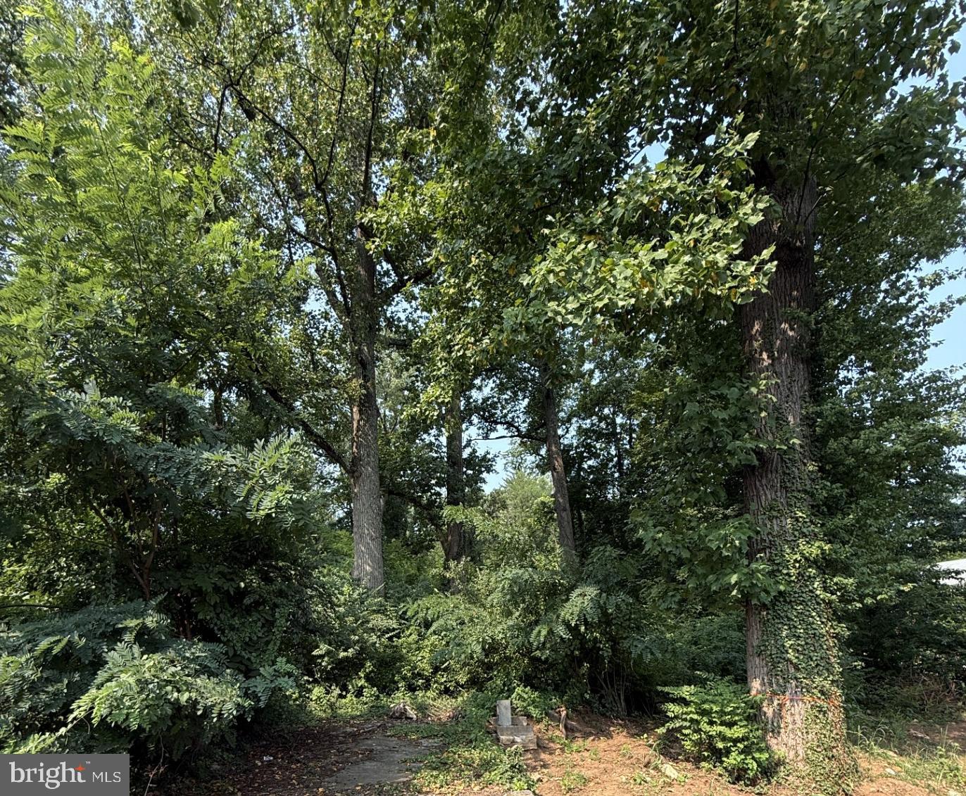 9300 Old Georgetown Road