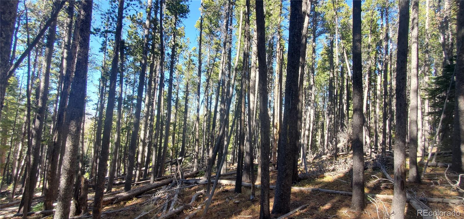 Lot 2682 & 2683 Purnell Lane