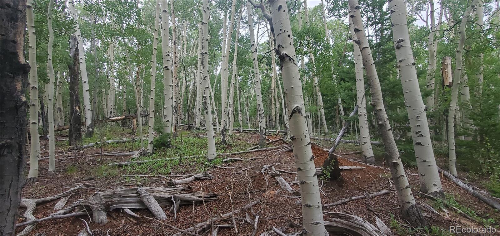 Lot 5837 Sheldon Road