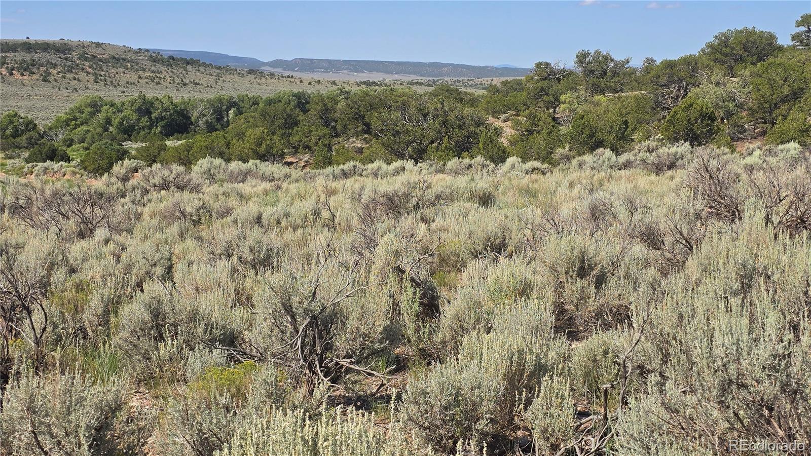 Lot 4296 Renfield Road