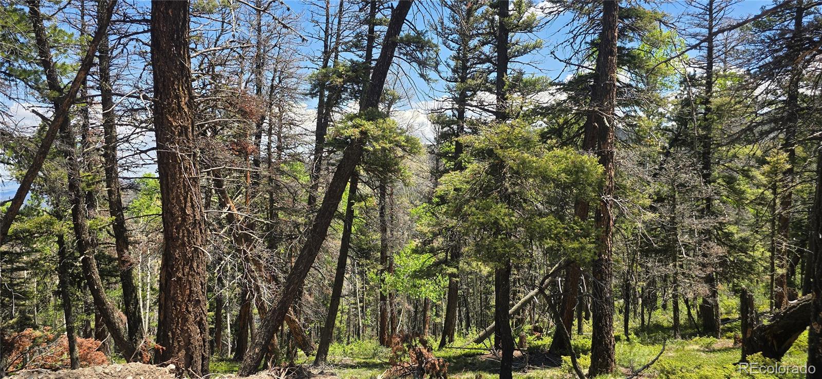 Lot 5546 Balleroy Road