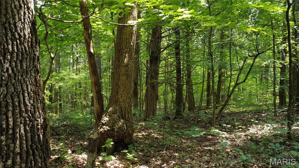 10223 San Juan Trail