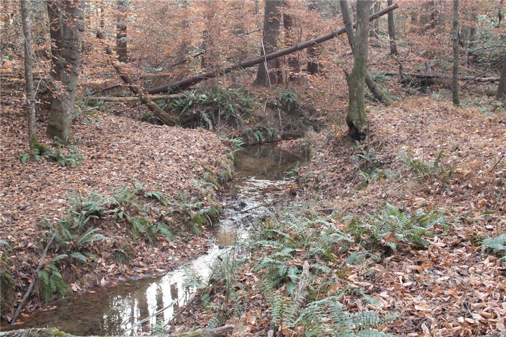 Land for sale in Valdese Lot for Sale 3158 Peninsula Pointe Drive NW 110 NC