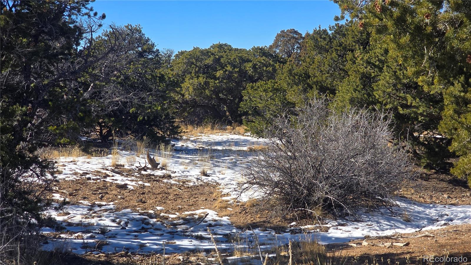 Lot 2027 Edmond Road