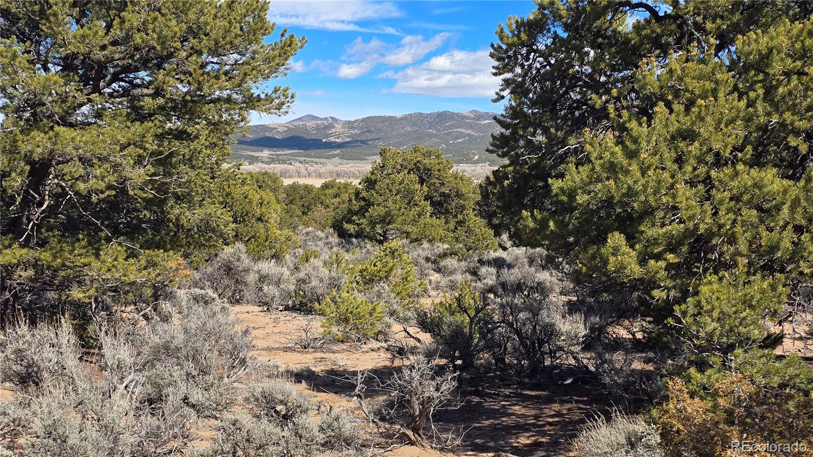 Lot 409 Williams Road