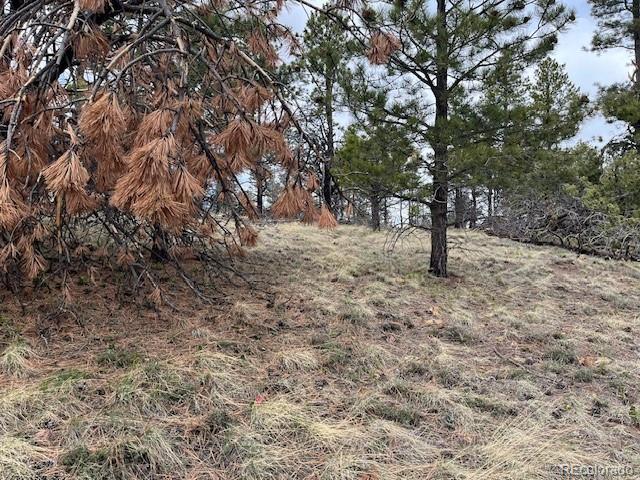 Lot 291 Dany Place
