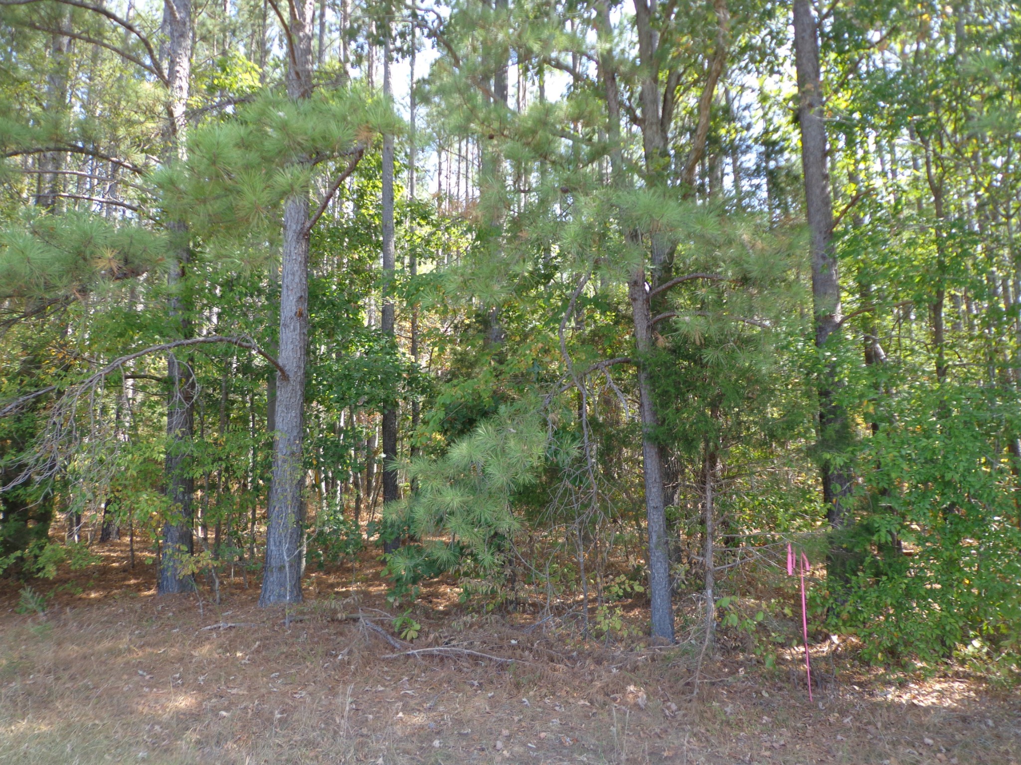 0 Tennessee Ridge Road