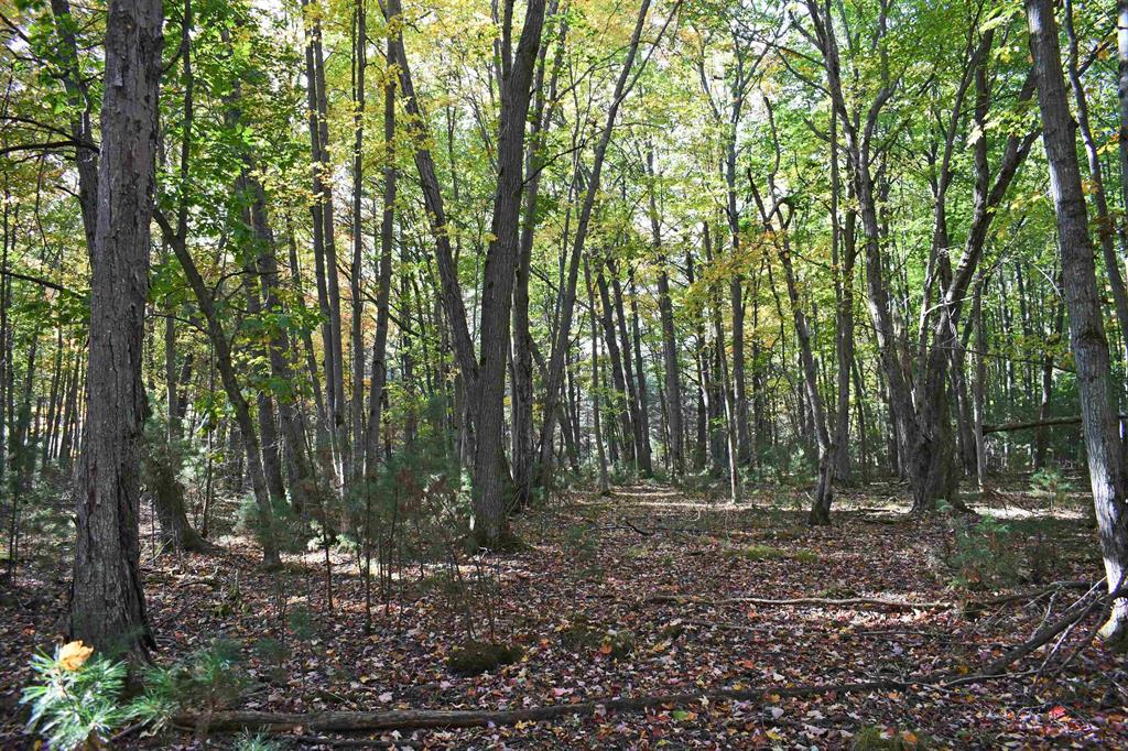 Rare and Unique opportunity in East Tawas. Developers, home builders or investors!! Over 10 acres of land near Tawas Lake and the Tawas River. This parcel is largely covered with Oak and Pine with a few lower areas. Access is off of Rainbow Drive. You will cross lot 25 and enter this hidden gem. There is a Target Real Estate sign on lot #25. Wildlife abounds, lots of deer and turkey sign on the property. Survey is available! This is a great area with access to Tawas Lake just down the street. This location feels like you are way out in the country but yet you are just a short distance to town and Tawas Bay!