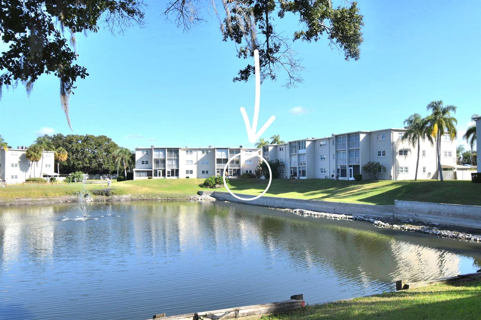 Check out this awesome, low maintenance, one bed, one bath condo with a stunning water view. All tile floors, warm neutral colors, remodeled kitchen and bathroom, accent wall in the living room, newer windows, AC and hot water tank! A green thumb's dream with the garden and common area featuring an abundance of plants, a cluster area with gas grill. Enjoy the water views throughout the day from great room and the screened lanai surrounded by greenery and flowers. Very active 55+ community. Close to everything "Delightful Dunedin" has to offer... shopping, restaurants, parks, the Pinellas Trail, the spring training homes of the Toronto Blue Jays and Philadelphia Phillies, major airports just minutes away. Furniture is negotiable.