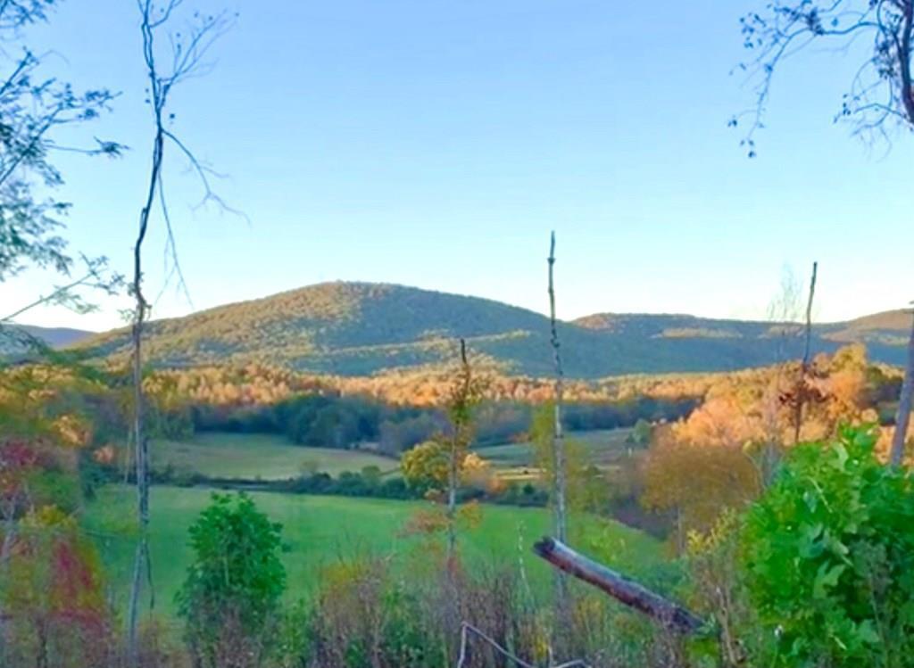 70 sprawling acres of lush green pastures, mountains views, a babbling stream, and a cute red barn all sitting in the foothills of the Blue Ridge Mountains. This farm also offers a canopy of pine and hardwoods, and numerous trails for ATV-ing, or horsebacking. The terrain is perfect for livestock both big and small, and an ideal place to raise your crops.  If you'd like to create your own community there's no shortage of picturesque sites with jaw dropping views along the Blue Ridge skyline to build on. Just minutes into the town of Stuart, 30 mins to Martinsville,  and 40 mins to Mt. Airy, or Floyd.  Close to the Blue Ridge Parkway, Fairystone State Park, and NASCAR's Martinsville Speedway too. This farm is a blank canvas, waiting for you to paint your future here on beautiful Patrick County soil.