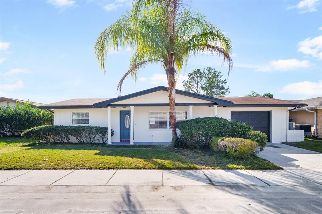 1815 Greenwood Drive, Oldsmar, FL 34677