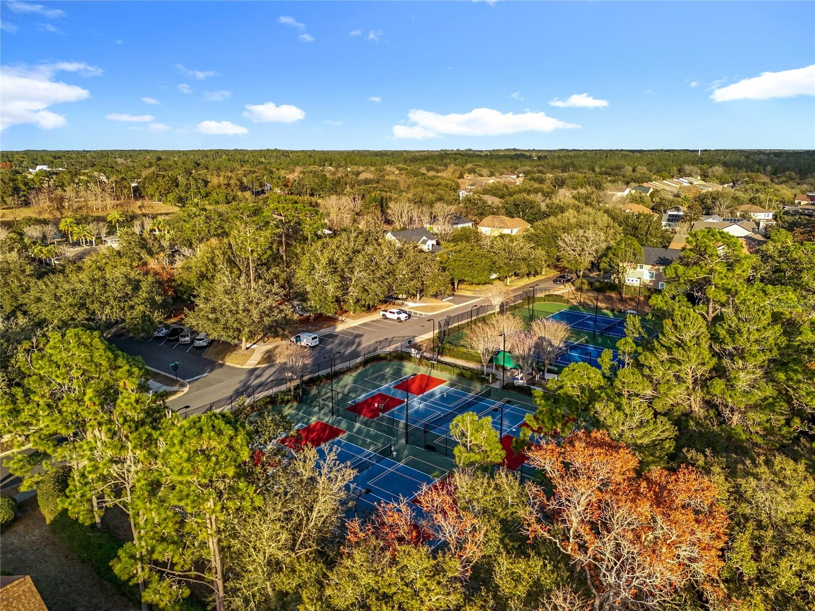 295 Northcote Court