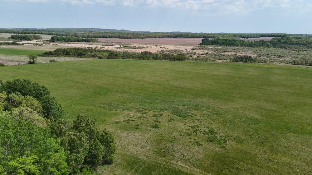 Real Estate Search | Jack Chivers Realty
