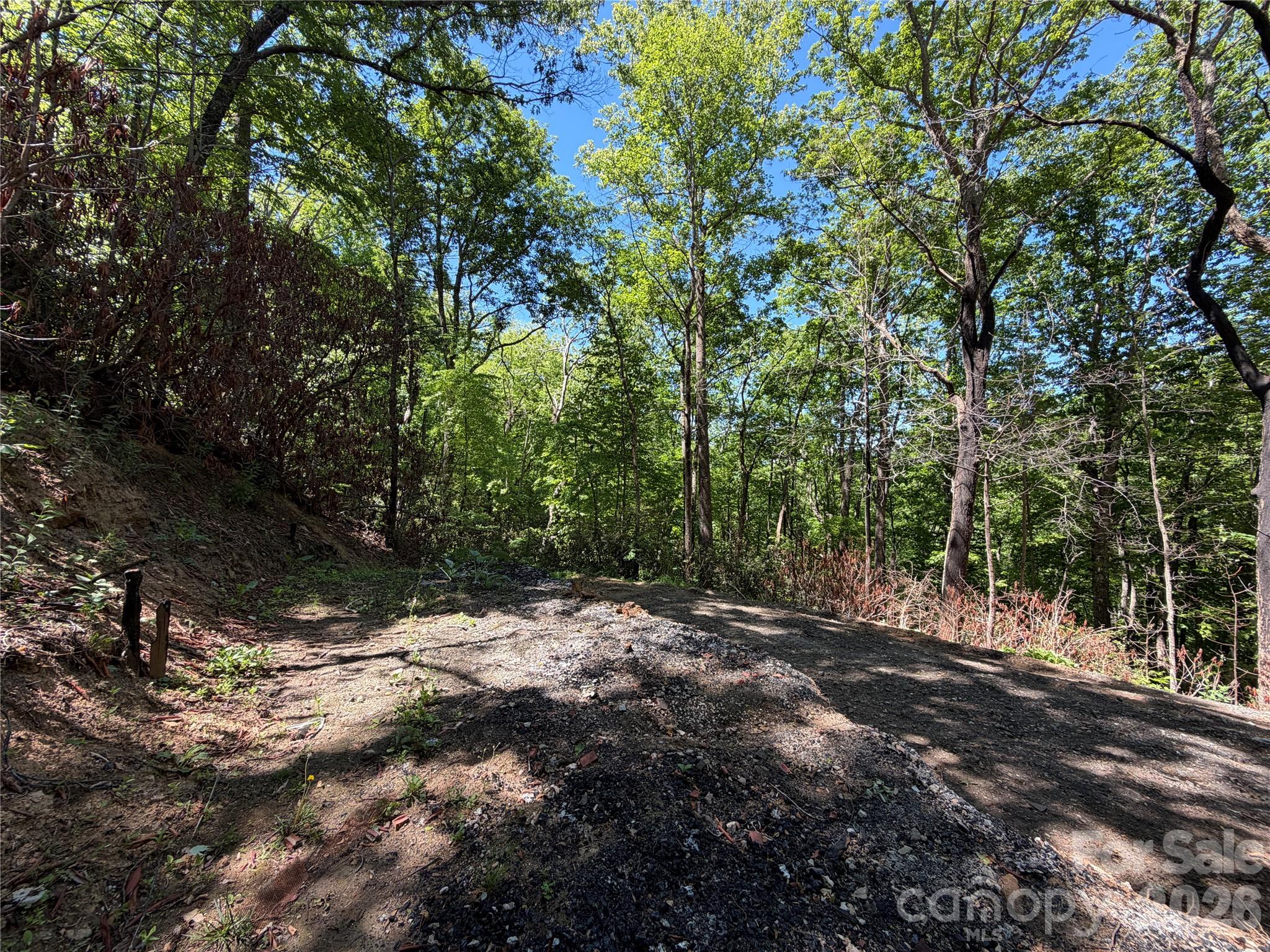 25 Buck Ridge Road