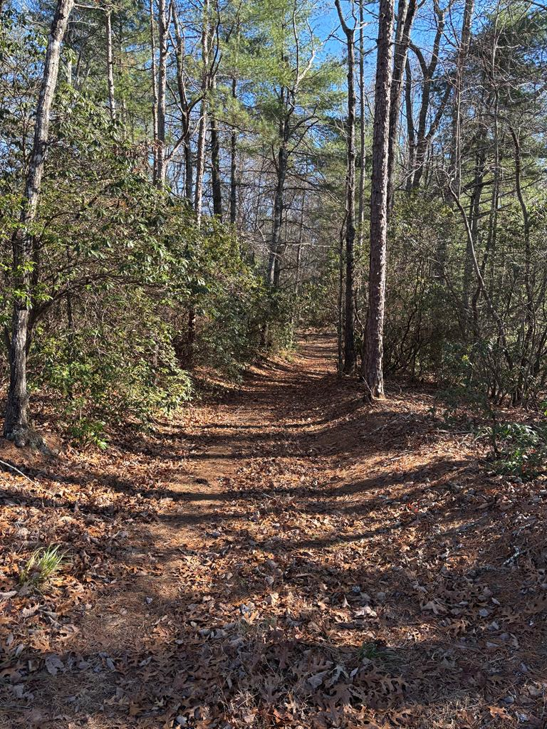 Murphy NC – 1.61+/- Acres Vacant Land For Sale – Borders USFS Land! Build Your Dream Home on this beautiful Flat knoll with  Long Range Mountain Views, Located in a private setting in Majestic Mountain, this beautiful mountain property offers Exceptional long-range views overlooking US Forest Service.  If you're looking for peace, privacy, and access to outdoor recreation, this land checks all the boxes! Enjoy direct access to thousands of acres of U.S. Forest Service land right from your back yard—perfect for hiking, nature watching, or exploring. High-speed fiber optic internet is available, and electric utilities are nearby for easy connection, making this an ideal spot for your mountain getaway, cabin, or full-time home. Just about 10 miles from Downtown Murphy, you're close to shopping, restaurants, medical facilities, and entertainment, yet you'll feel a world away in this serene mountain retreat. Love to fish or boat? You're only minutes to the year-round Hanging Dog Boat Ramp giving you easy access to beautiful Lake Hiwassee, known for its excellent fishing, boating, and scenic beauty. Whether you're looking to build now or invest in land for the future, this parcel is a rare find — There is a shared Driveway with Lot 63 also for sale, that does not affect the views & Privacy,  Don't miss this incredible opportunity — Seller asking $59,500.  Owner Financing Available - Make an offer today!