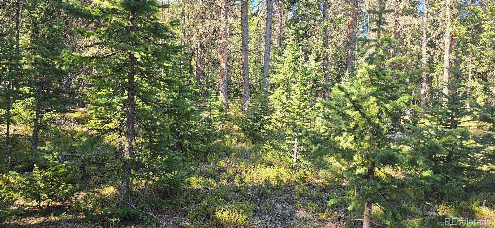 Lot 6515 Doyle Road