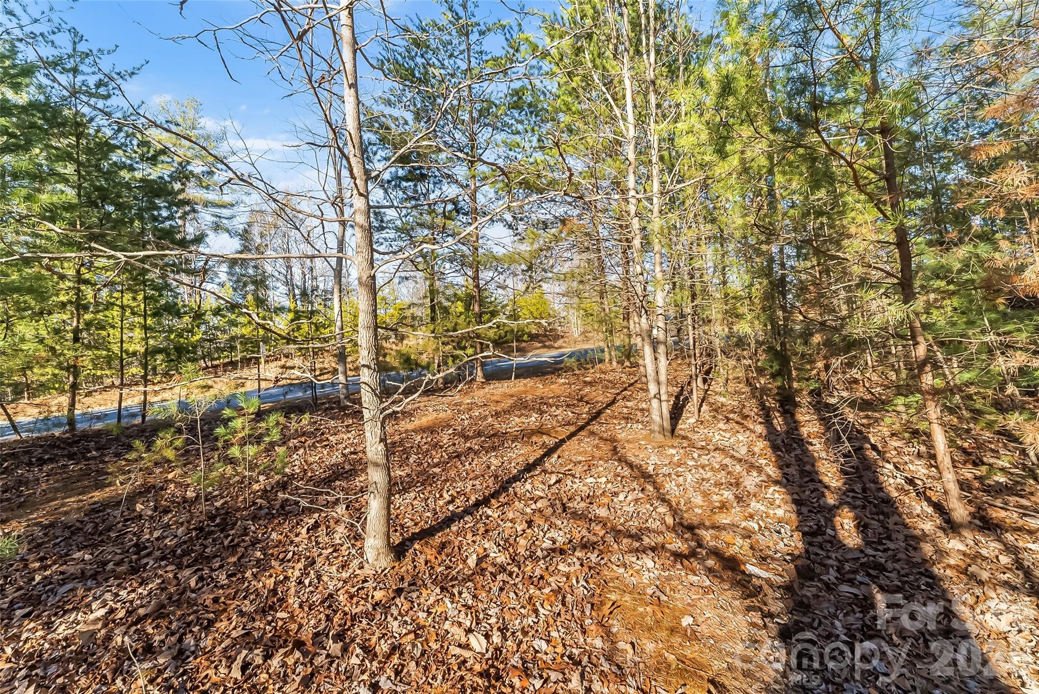 961 High Trail Drive 35-11