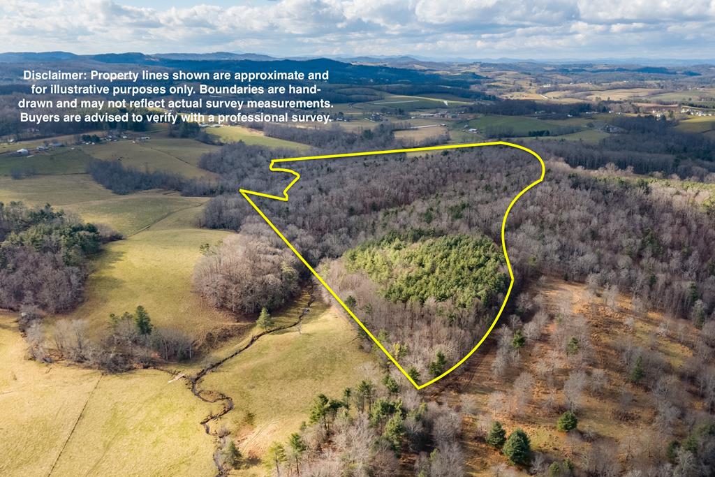 Enjoy this nearly 50-acre secluded property just outside Hillsville, VA. This private, wooded tract features mature timber with future potential and approximately 2,000 feet of beautiful Grassy Creek frontage. Surrounded by gently laying farmland, the property offers exceptional privacy and an ideal setting for hunting, recreation, or a peaceful get-a-way. A solid roadbed along the northern boundary and multiple trails throughout provide easy access and countless opportunities for outdoor enjoyment. Located less than 2 miles from the Blue Ridge Parkway and close to several nearby towns with their own unique attractions, this property perfectly blends seclusion with convenience. A rare opportunity to own versatile acreage in the highly desirable Blue Ridge Mountains. Call today to see for yourself!