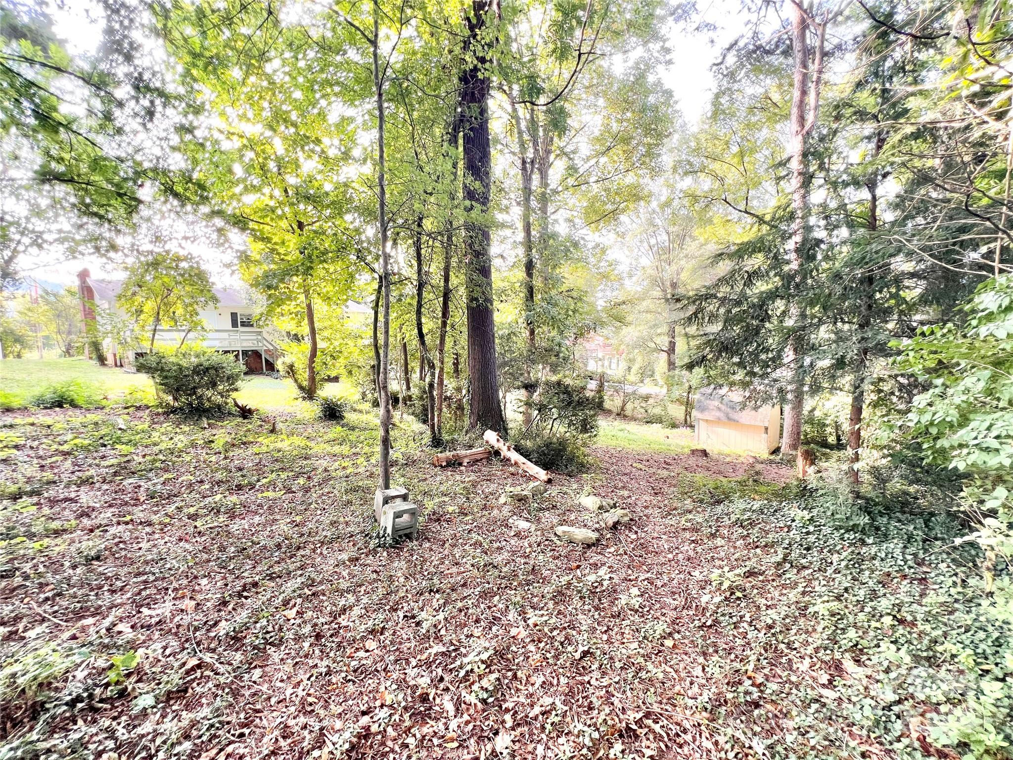 305 Lower Creek Drive