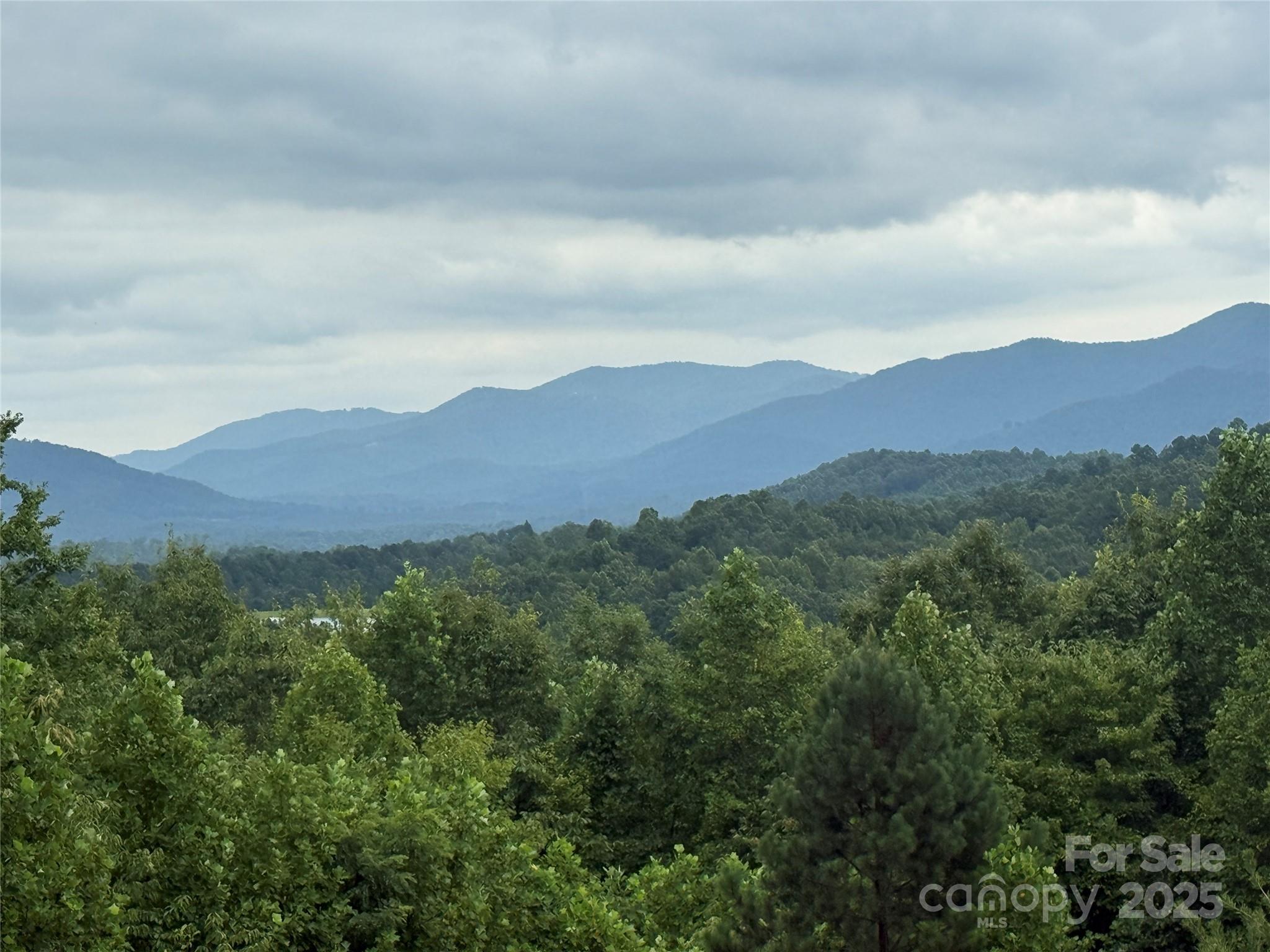 166 Coal Pit Mountain Drive 359