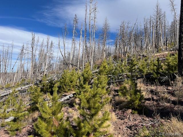 Lot 1741 Mathlide Place