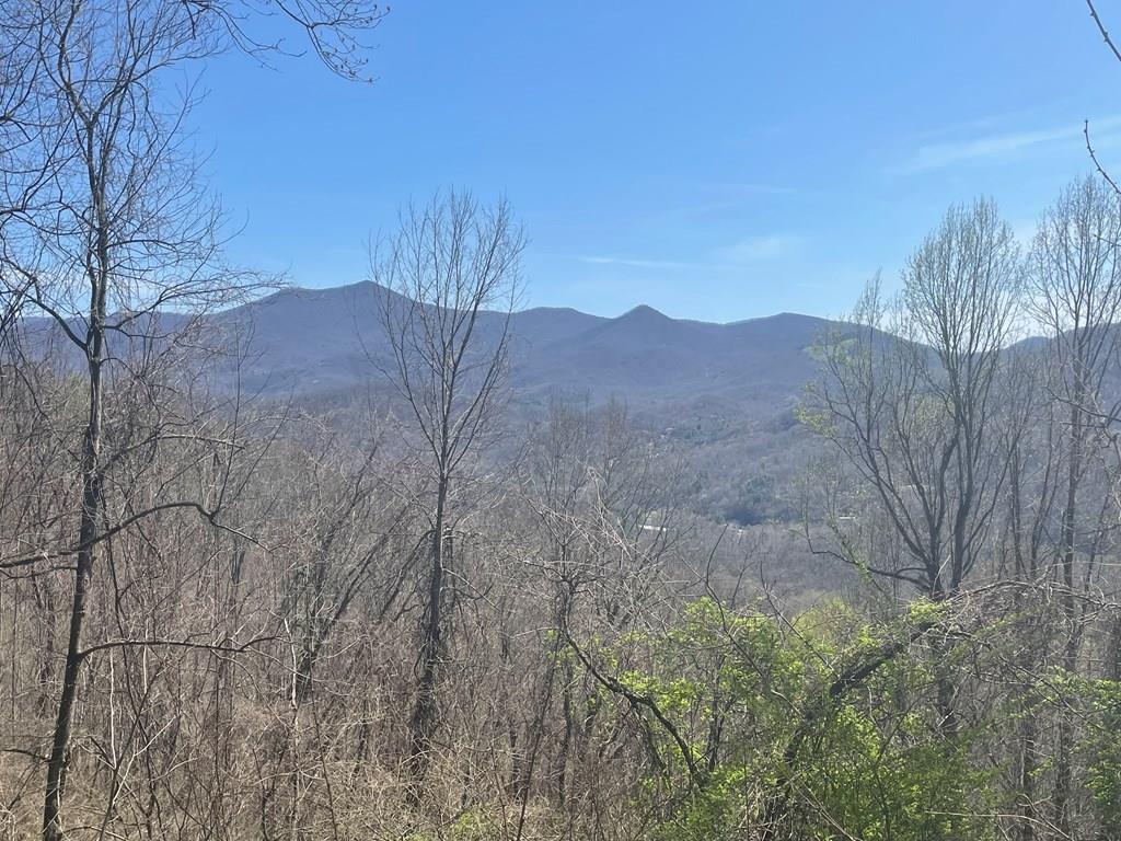 What a view. This stunning mountain lot offers the perfect blend of seclusion and convenience—tucked away in nature yet just minutes from downtown Sylva. With low minimum square-foot requirements, you have the flexibility to design the mountain retreat that truly fits your lifestyle.