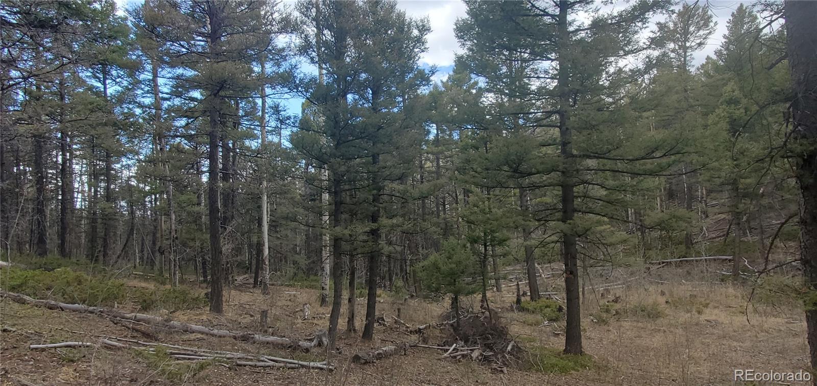 Lot 6090 Vreeland Road