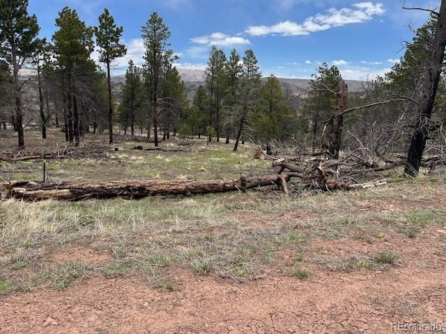 Lot 291 Dany Place