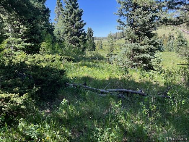 Lot 2684 Coder Place
