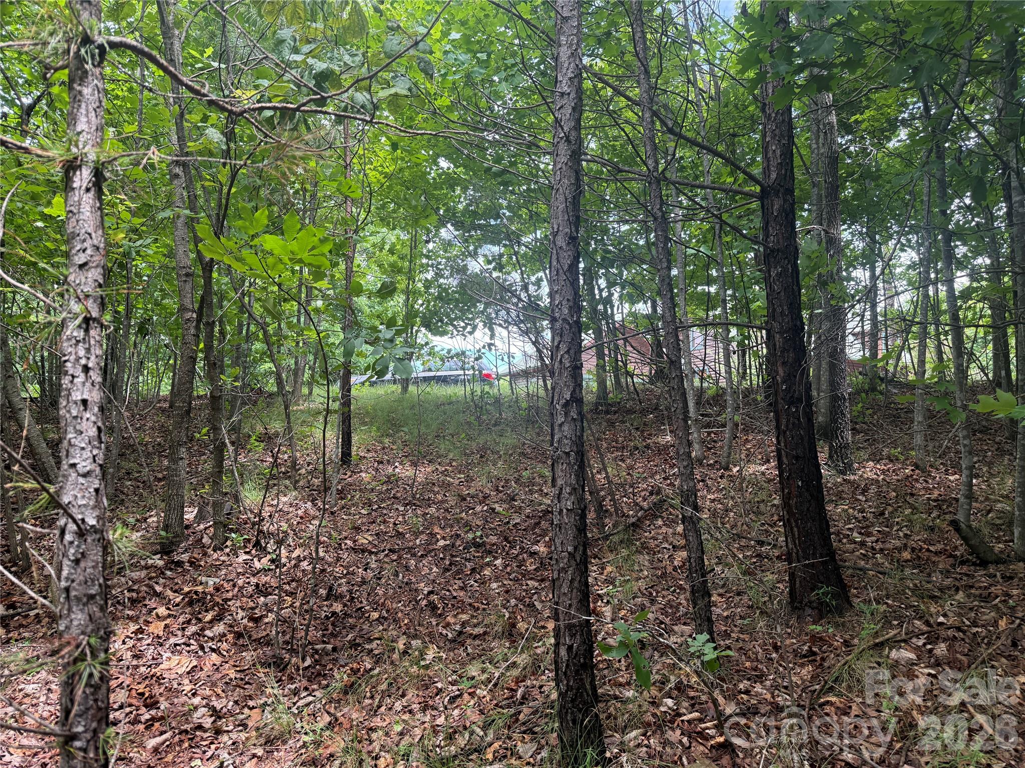 V/L Scenic Vista Drive 246