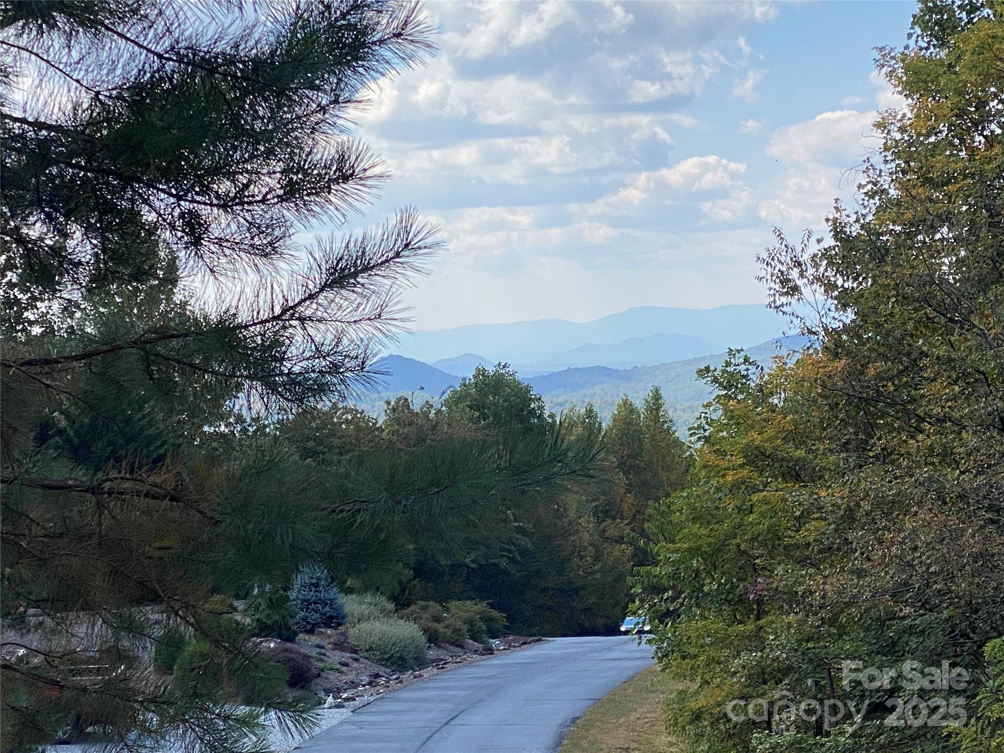 61 Scenic Vista Drive 238