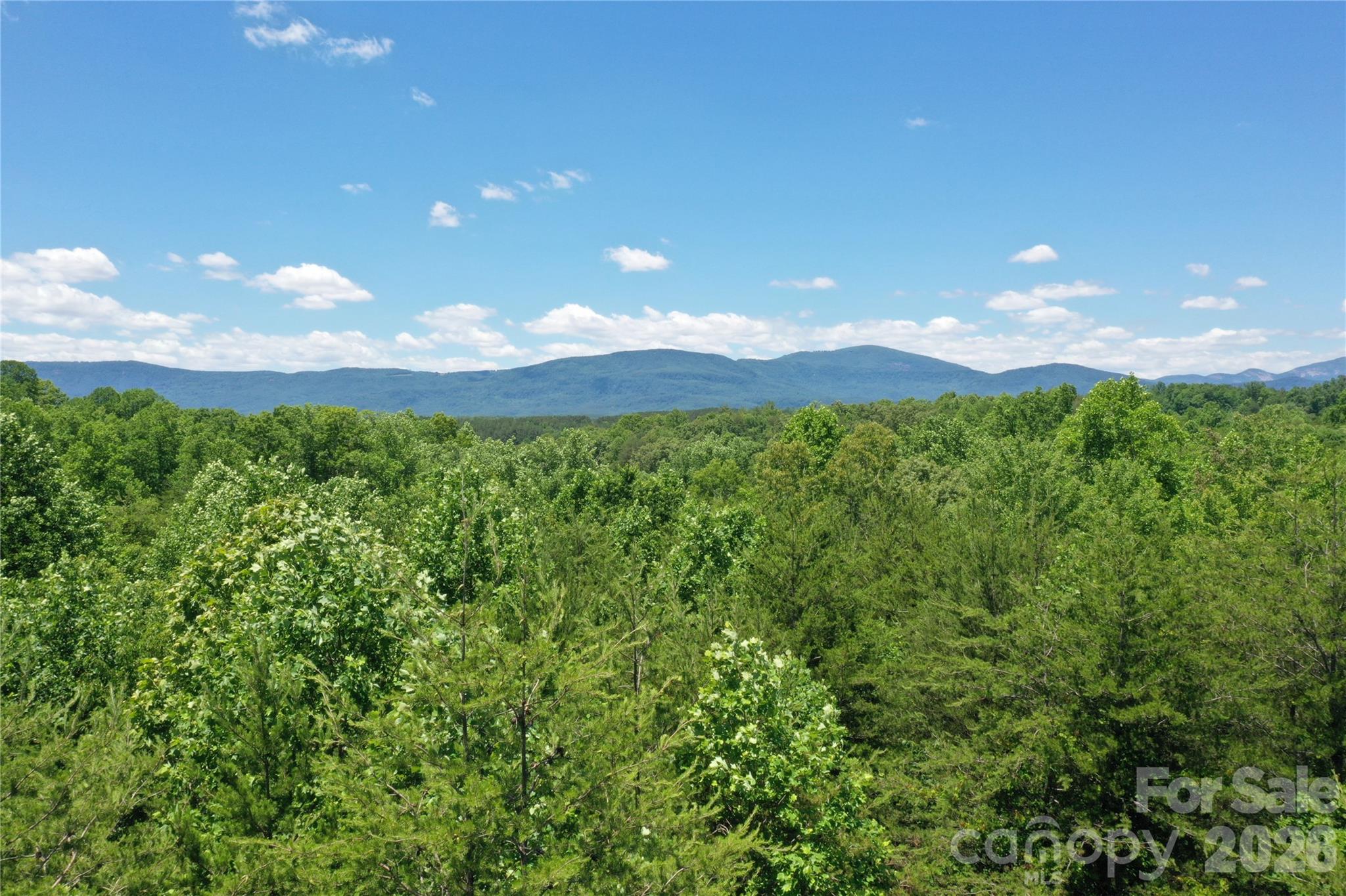 Discover 42.25 serene acres of beautiful mixed forest in scenic Polk County, offering land ideal for a private estate, farm, or equestrian retreat. The property's natural topography lends itself perfectly to multiple building sites and open pasture potential, making it a dream for nature enthusiasts, horse lovers, and those seeking space and privacy. Unrestricted, this private paradise provides endless opportunities! Whether you envision a custom home, equestrian setup, recreational getaway, or short-term rental investment. Enjoy the peaceful countryside while remaining conveniently located near Lake Lure, Chimney Rock, Hendersonville, Asheville and The Tryon International Equestrian Center. A rare opportunity to own a versatile tract with exceptional location and flexibility.