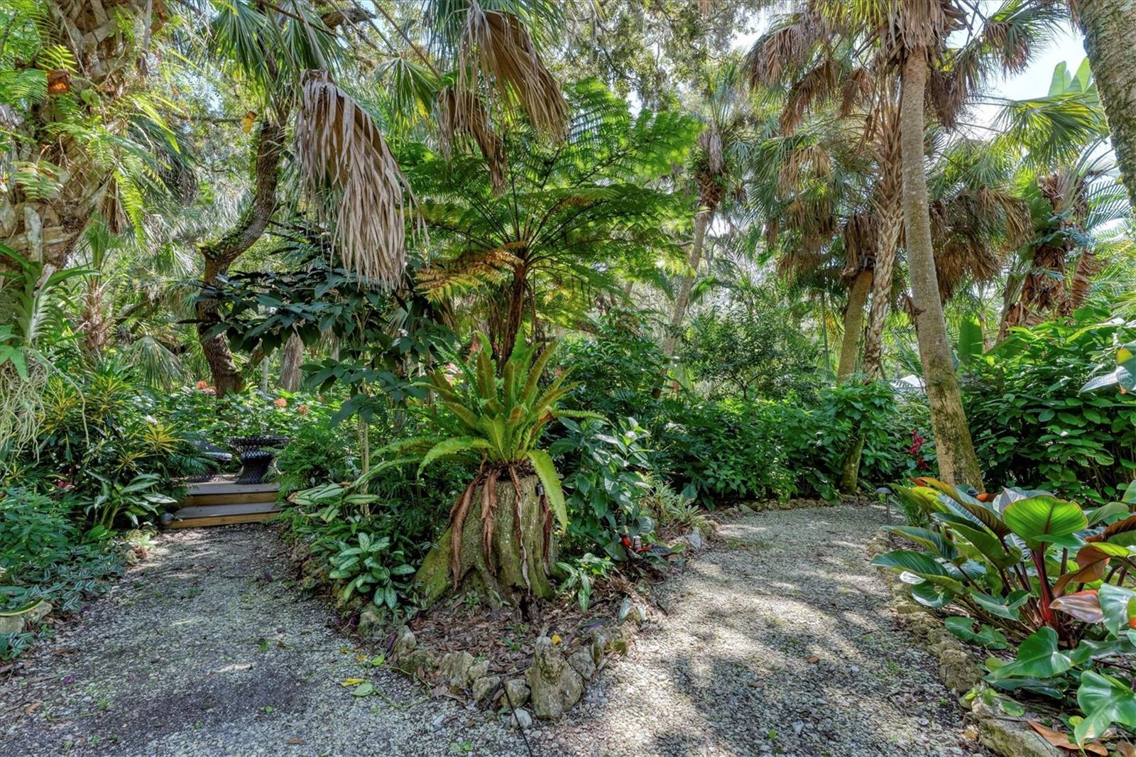 8704 Misty Creek Drive