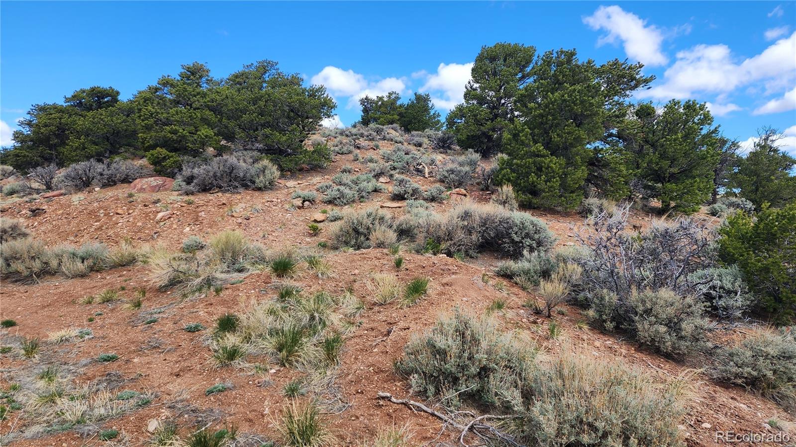 5040 & 5041 Mamouche Road
