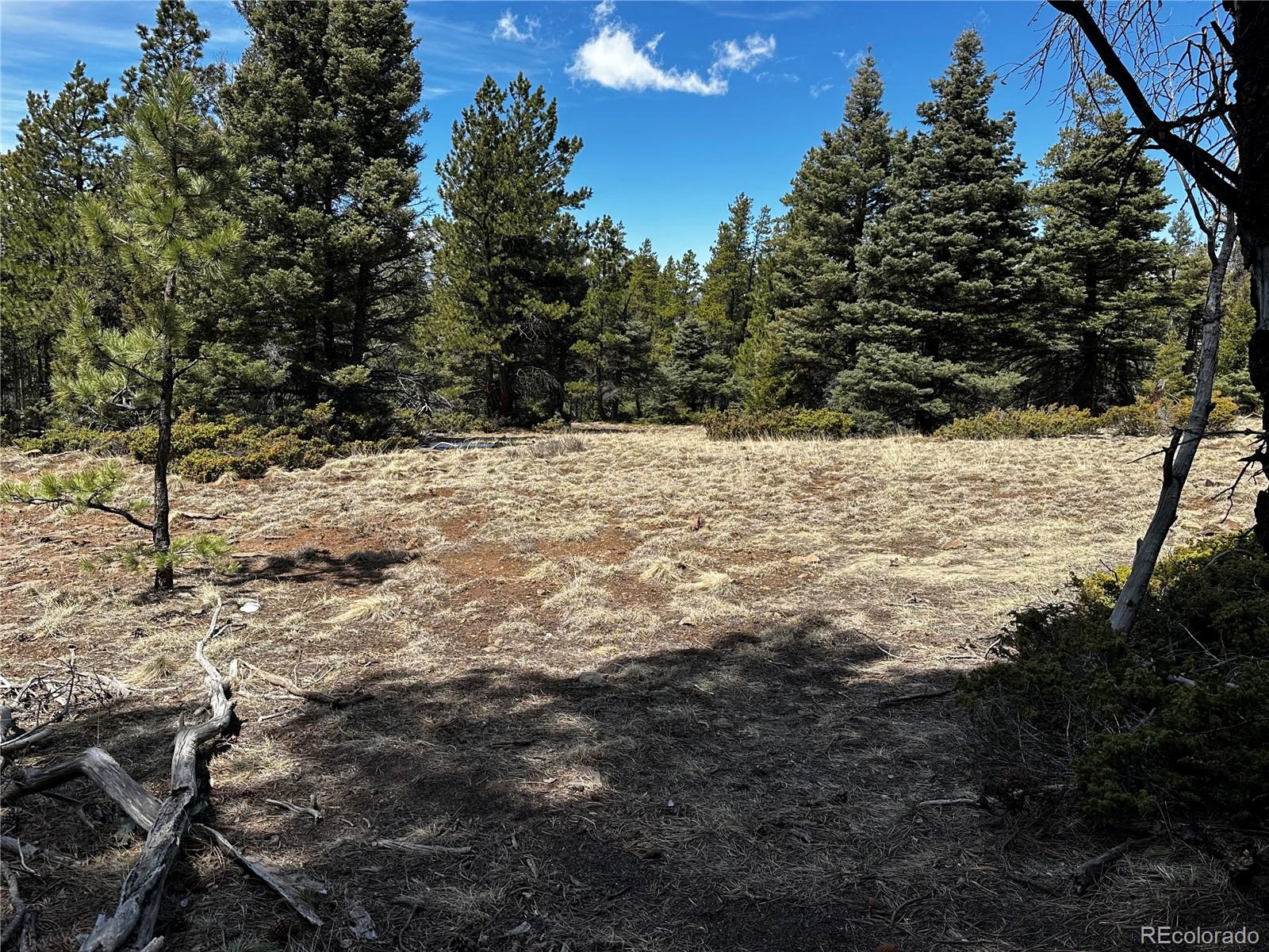 Lot 174 Ferris Place
