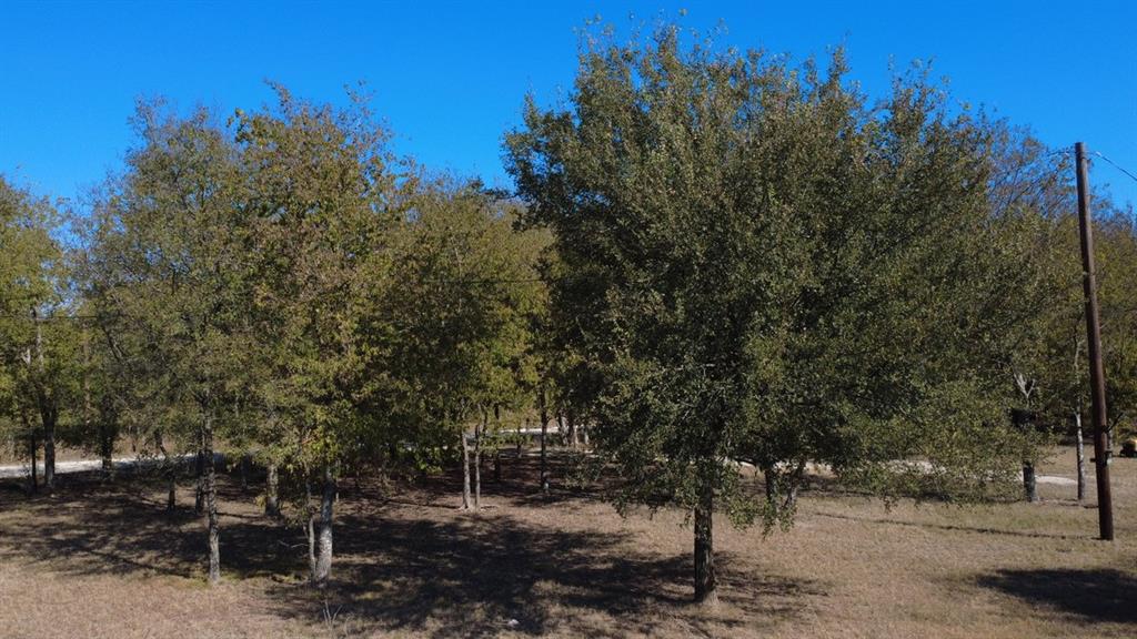 4902 County Road 2397